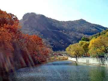 天天彩好彩天天免费，深圳塑胶地垫